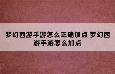 梦幻西游手游怎么正确加点 梦幻西游手游怎么加点